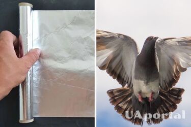 Фольга на балконі позбавить від надокучливої проблеми