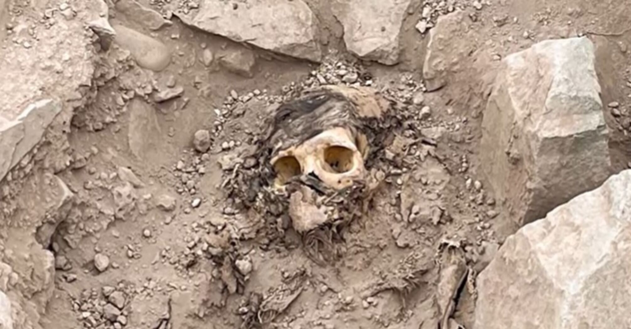 Тысячелетнюю мумию с длинными волосами и в странной позе нашли в Перу (фото)