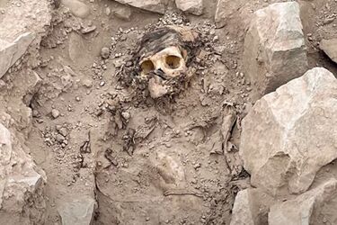 Тысячелетнюю мумию с длинными волосами и в странной позе нашли в Перу (фото)