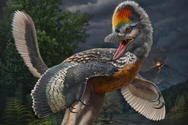 Ученые нашли скелет похожий на птицу, которая может быть потомком динозавров