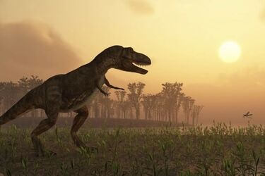 Fossils of a new predatory dinosaur species found in Egypt