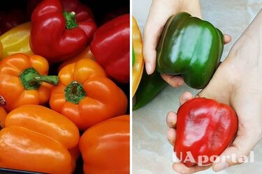 Як зберігати солодкий перець, щоб він довго не псувався