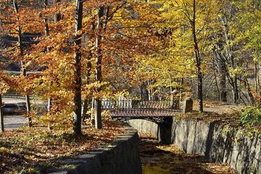 Впечатлите свой Instagram беспроигрышными осенними локациями по всей Украине: список