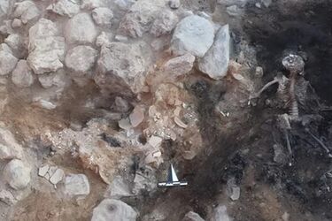 Моторошна знахідка у Туреччині: археологи відкопали 3700-річний мозок і залишки шкіри (фото)