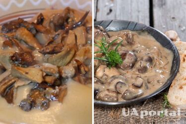 Рецепт швидкої грибної підливки по-закарпатськи за 30 хвилин