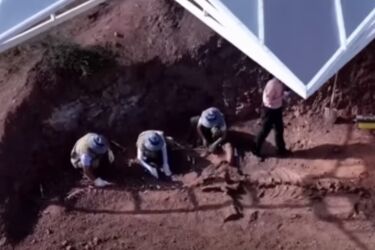 Piece of 200 million years old dinosaur spine discovered in China