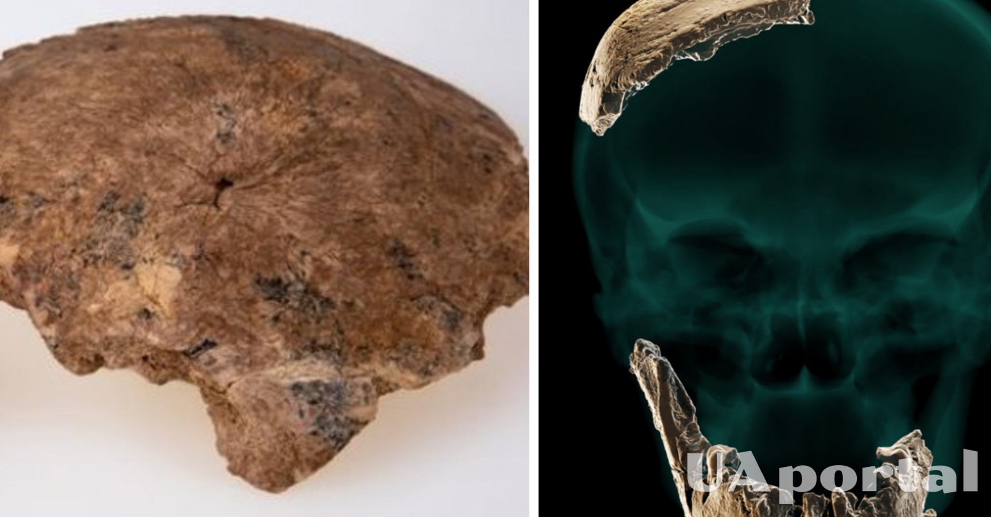 Археологи обнаружили в Израиле фрагменты черепа в возрасте 140 тысяч лет: принадлежали неизвестному виду человека