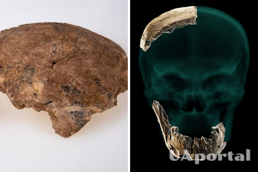Archaeologists find 140,000-year-old skull fragments in Israel: they belonged to an unknown species