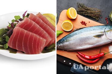 Может навредить организму: какую рыбу нельзя употреблять регулярно