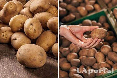 В Україні зросла ціна на картопля