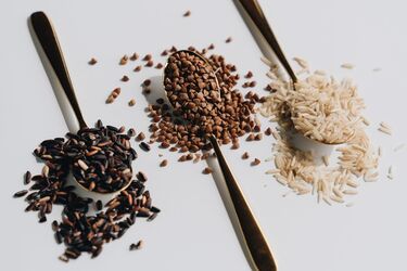 How to store cereals properly to avoid insects: Effective life hacks