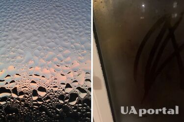 Блоггерша показала необычный лайфхак для борьбы с конденсатом на окнах