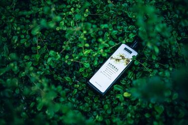 How to use shampoo in everyday life: 3 unusual life hacks