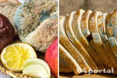 Какие продукты категорически нельзя есть, если на них появилась плесень
