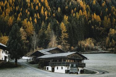 What trees have a negative impact on well-being: Folk beliefs
