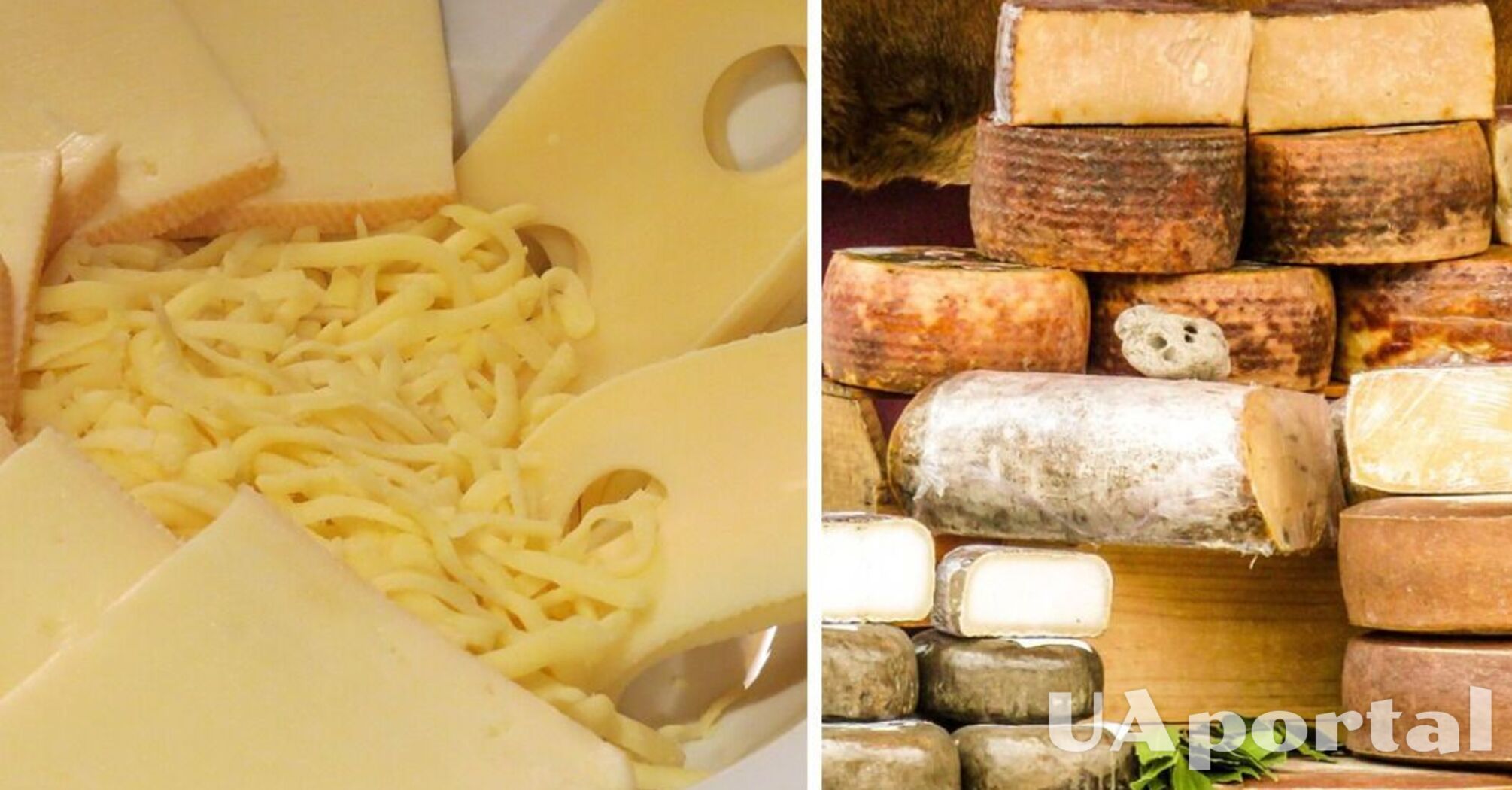 Фахівці розповіли, як зберігати сир, щоб не вкривався пліснявою