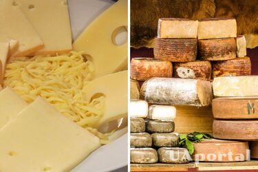 Experts tell how to store cheese to prevent mold growth