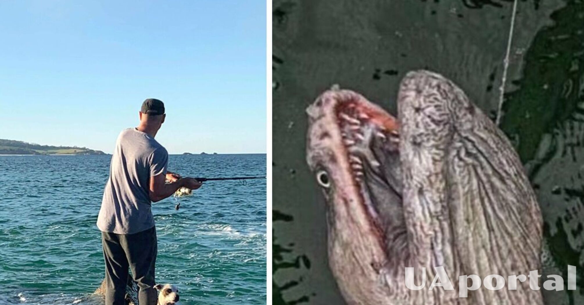 У берегов Австралии поймали загадочное трехметровое существо (фото)