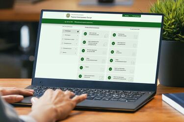 Как оформить пенсию, не выходя из дома: пошаговая инструкция