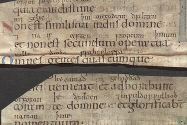 Archaeologists find lost manuscript book of psalms of refugee princess (photo)