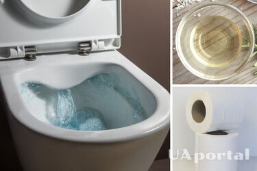 Как почистить унитаз уксусом и туалетной бумагой – лайфхак