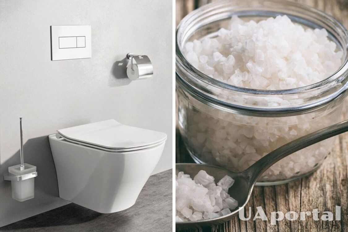 How to clean a toilet with salt: an effective life hack