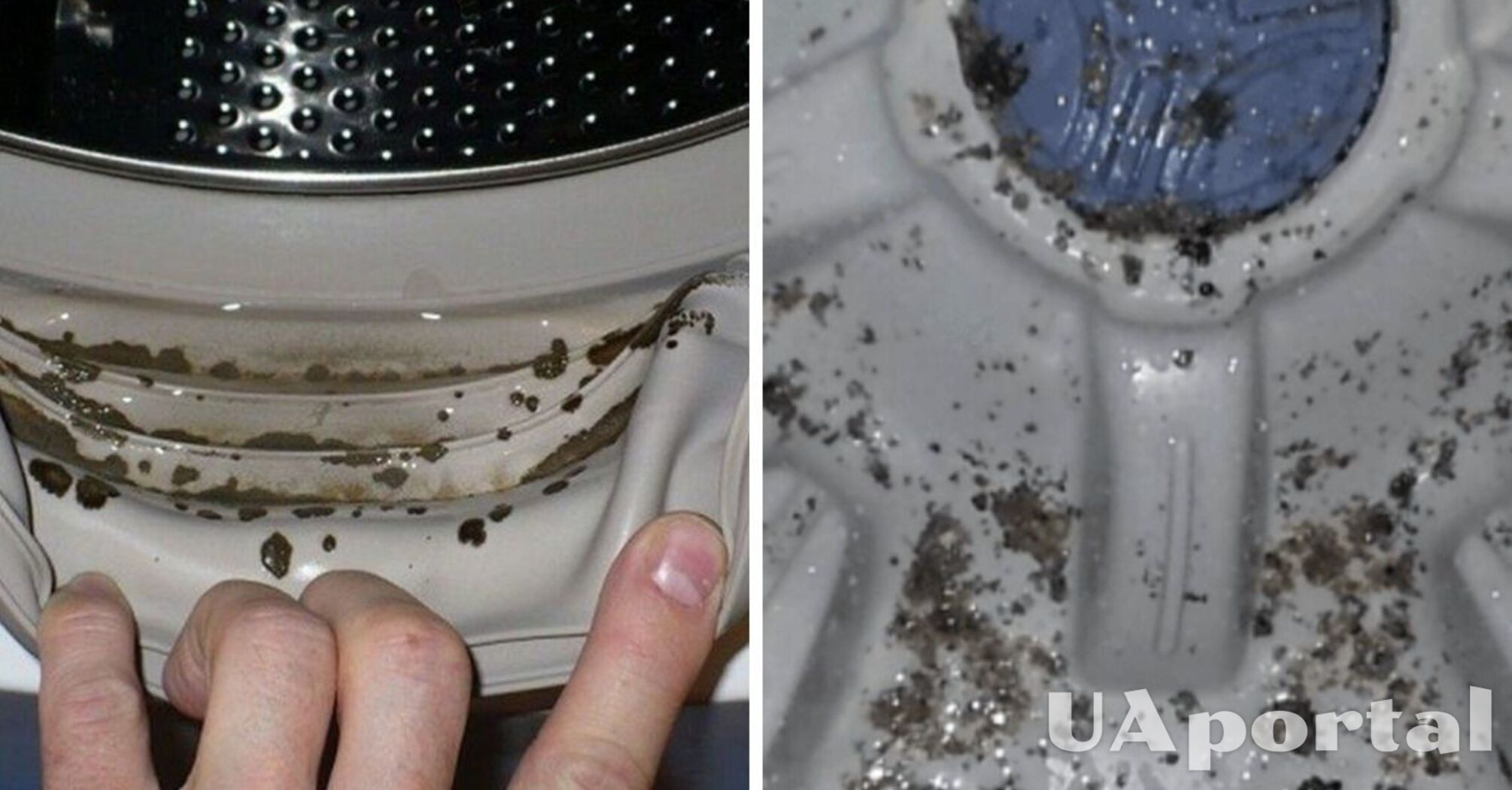 How to clean a washing machine from mold