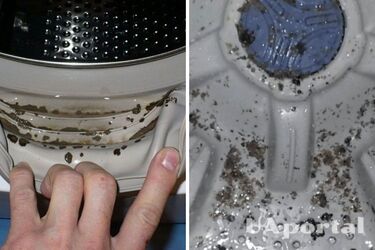 How to clean a washing machine from mold