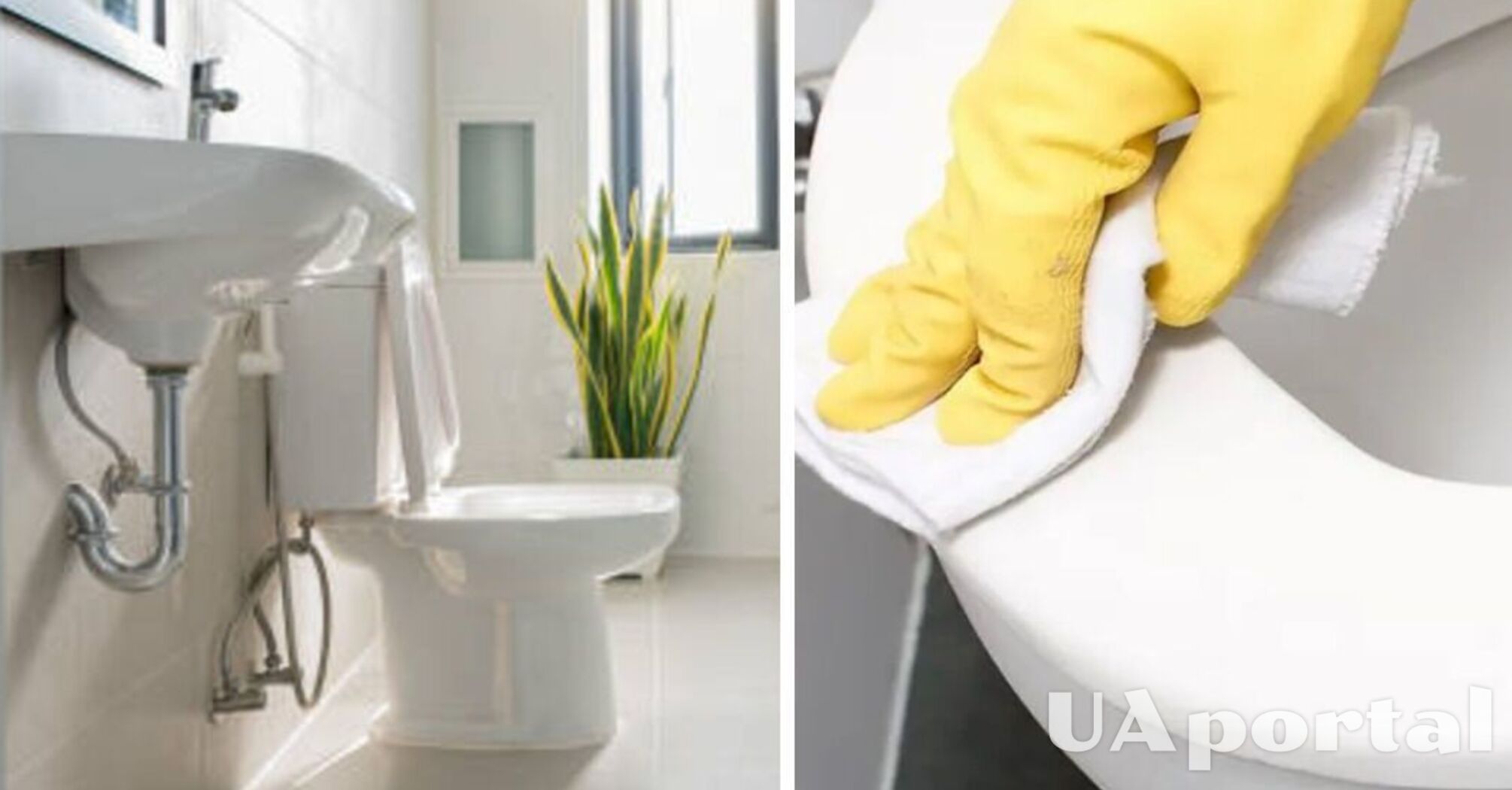 Yellowed toilet seat will turn white again: three simple remedies