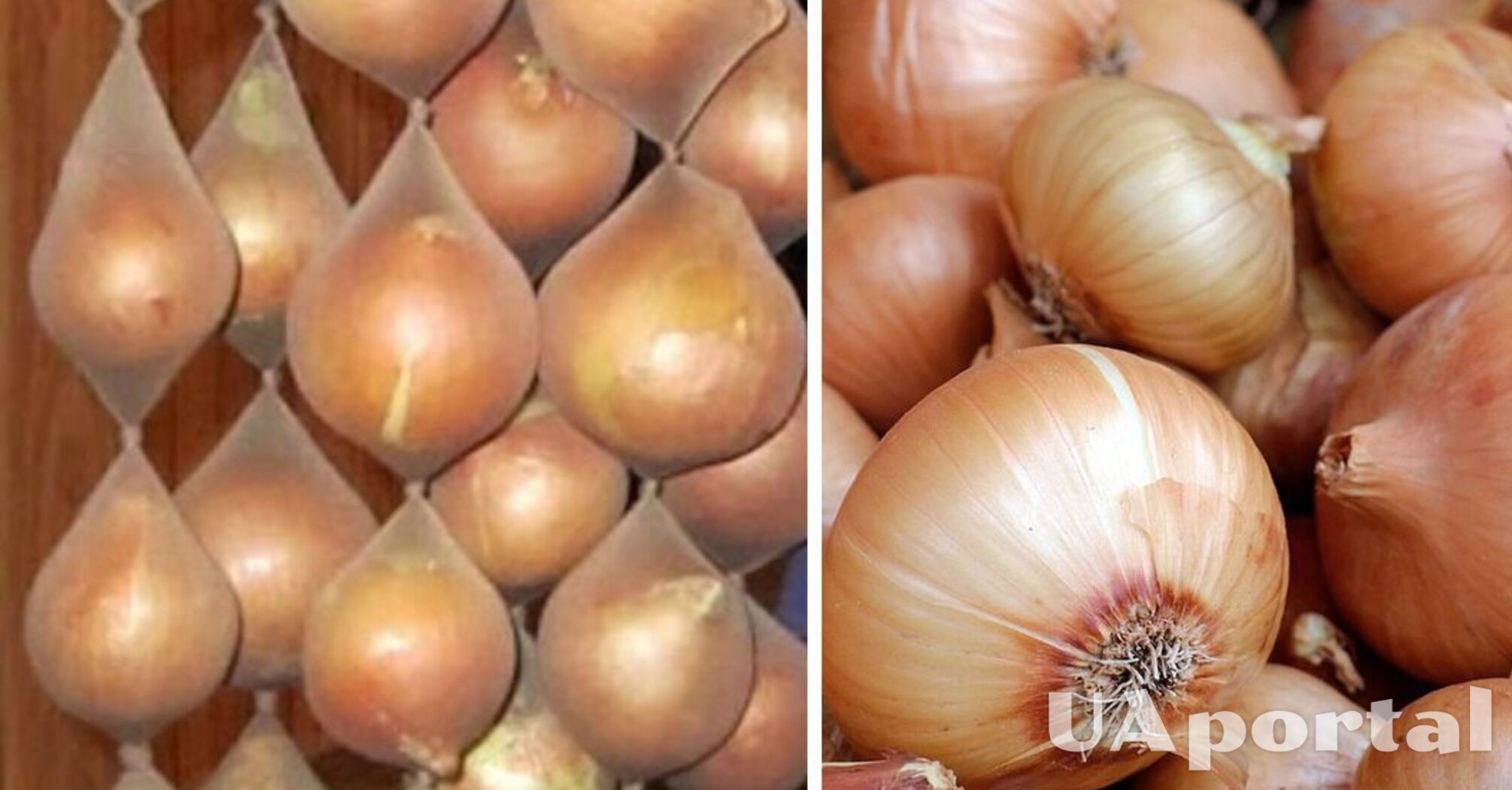 Experts have suggested how to store onions so that they don't get moldy: You will need a pair of tights