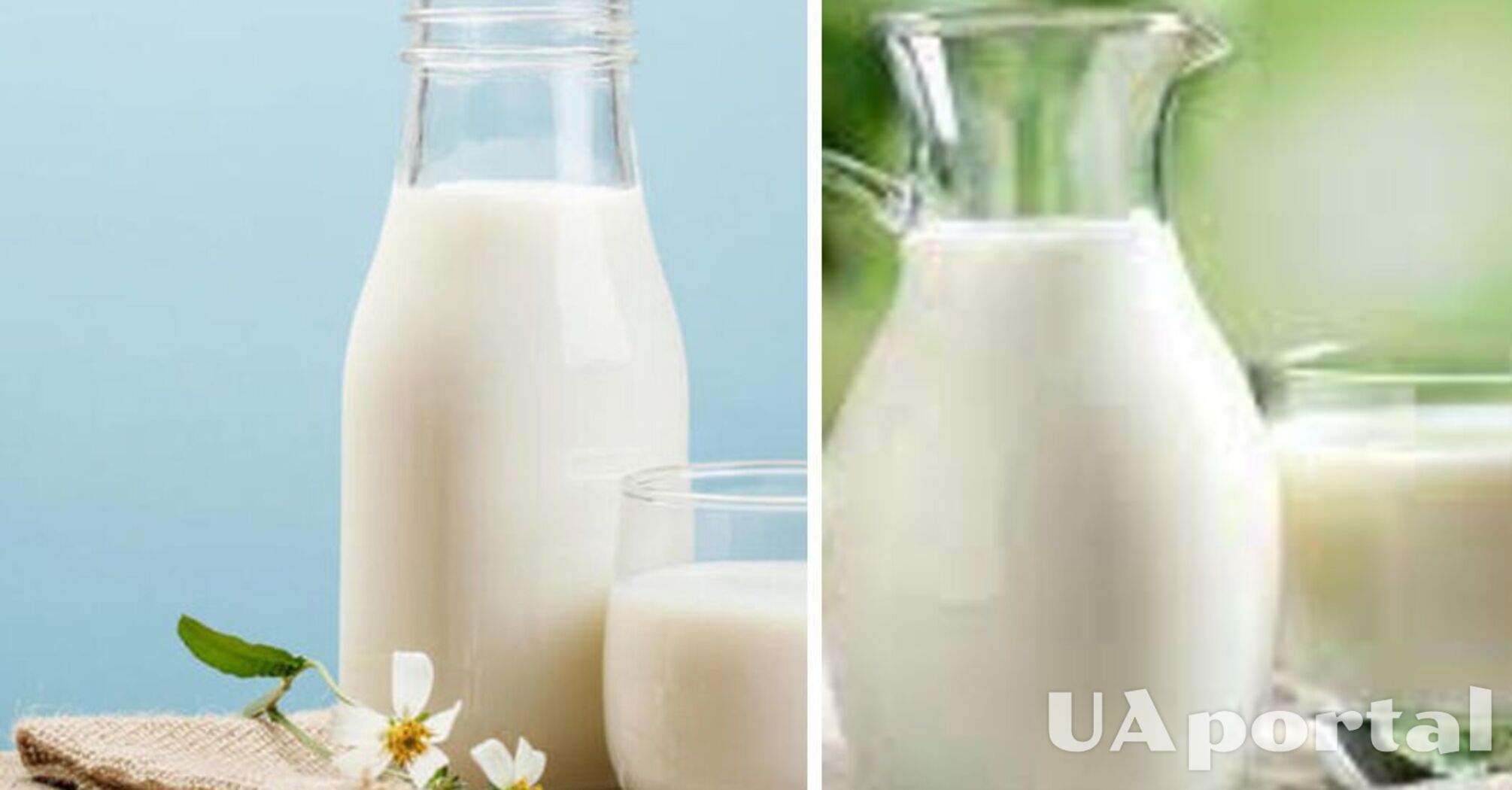 Чем отличается пастеризованное молоко от обычного: плюсы и минусы