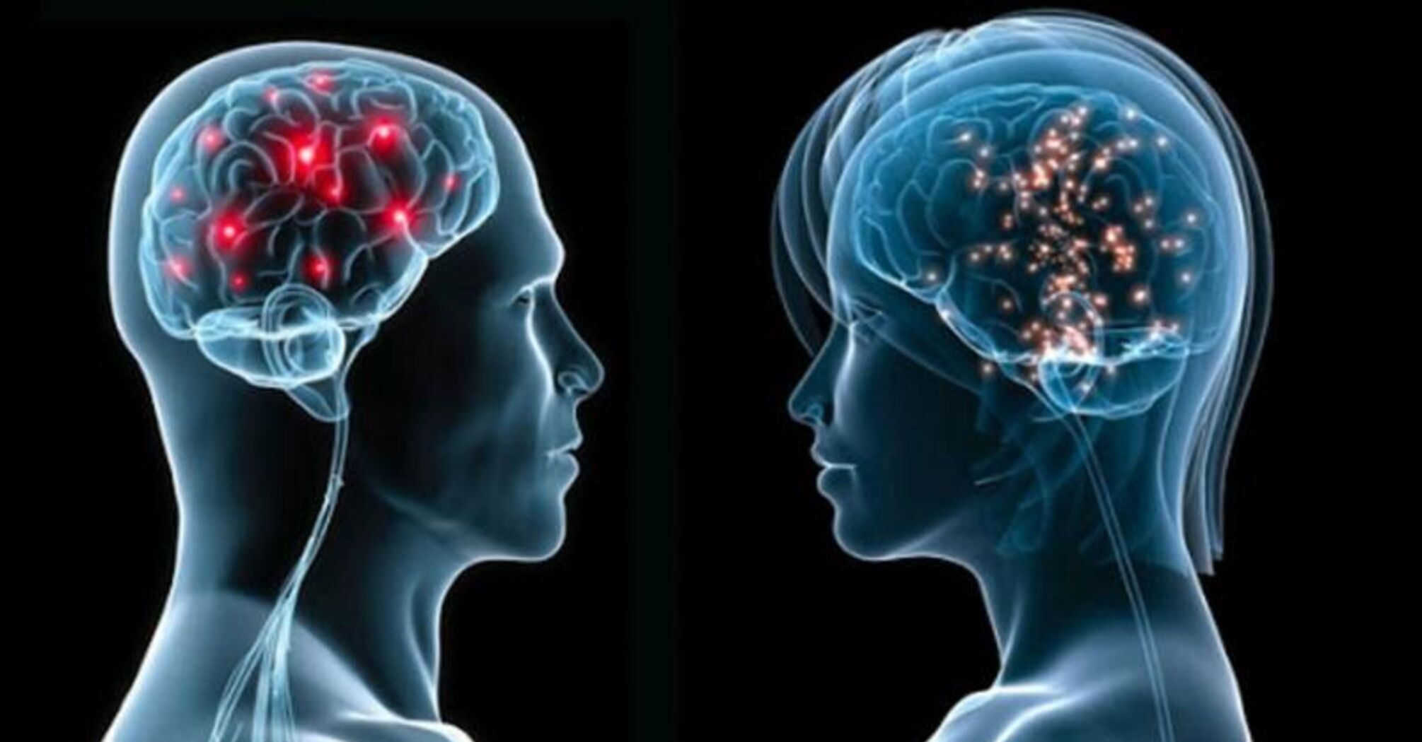Вчені з'ясували, чим відрізняються чоловічий та жіночий мозок