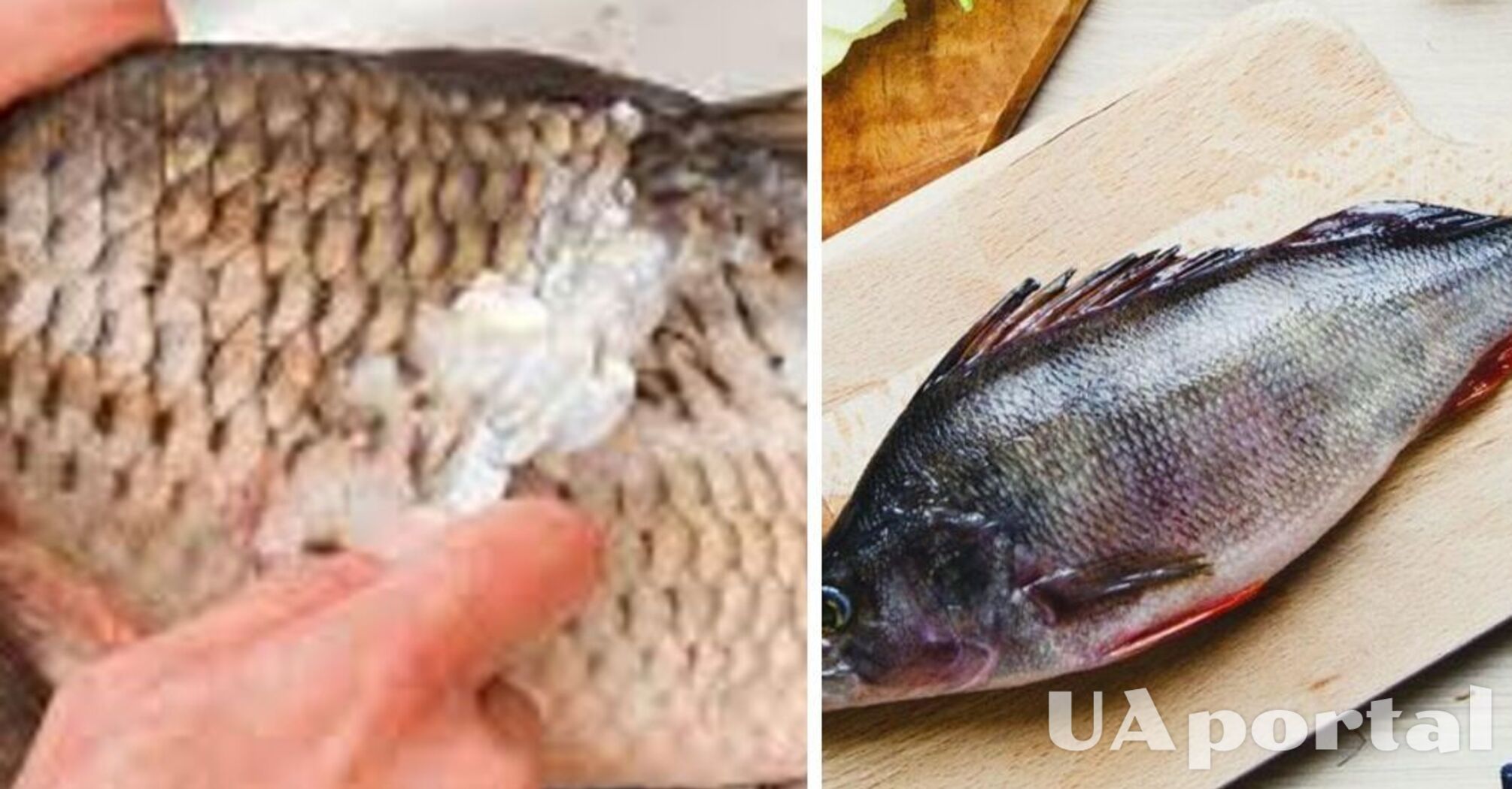 Як почистити рибу без ножа: топ дієвих методів 