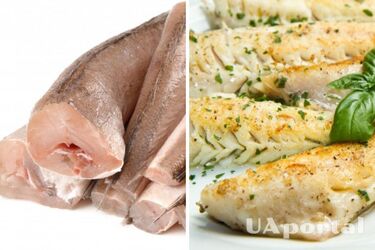 How to cook hake fish correctly