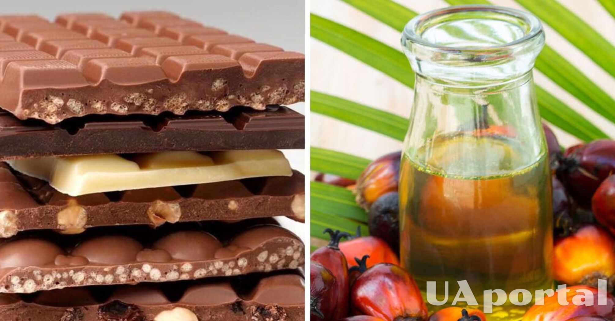Scientists have answered which chocolate is healthy