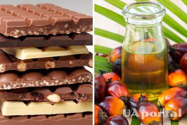 Scientists have answered which chocolate is healthy