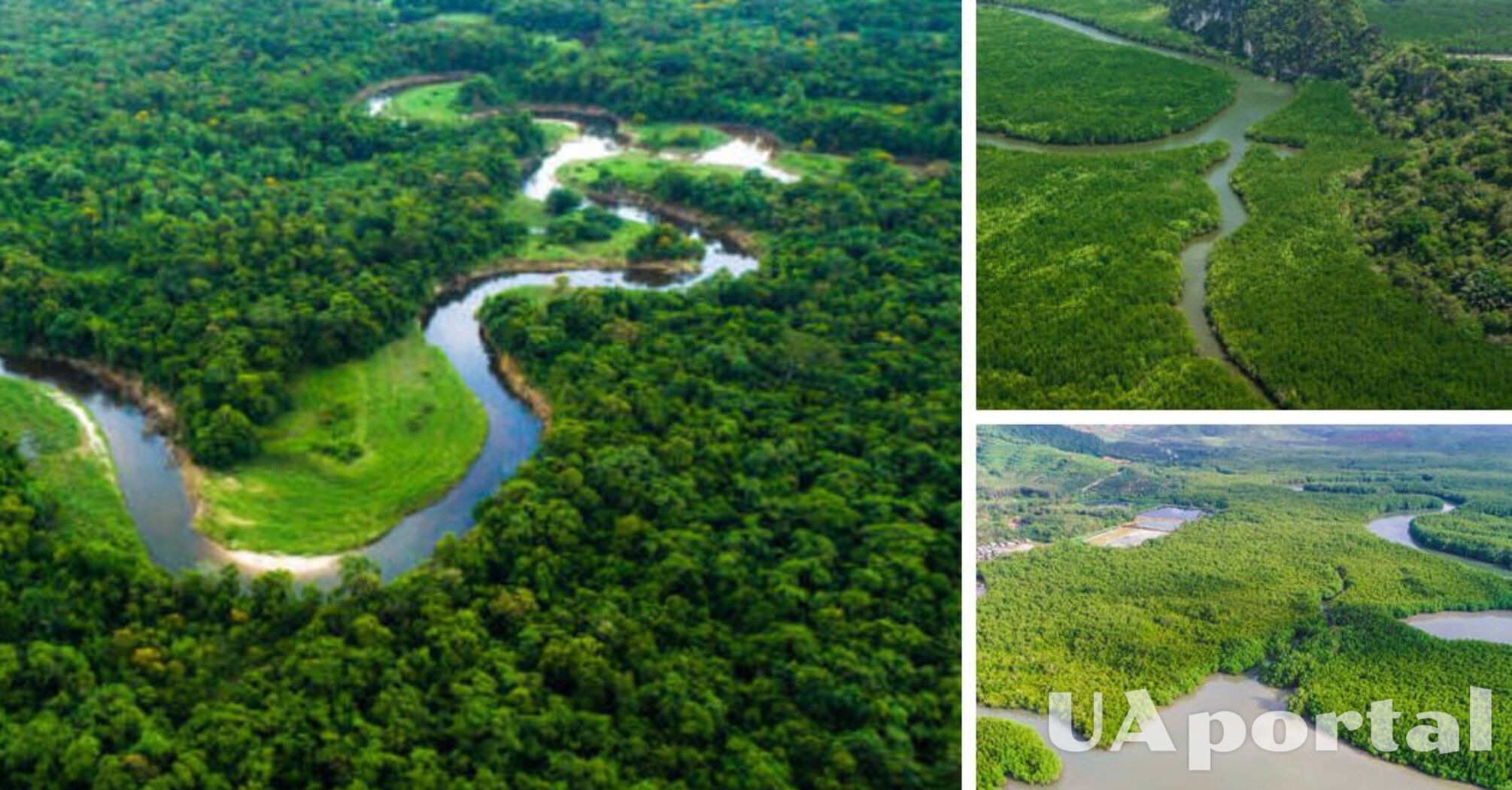 Valley of 2000-year-old settlements discovered in the Amazon forest (photo)
