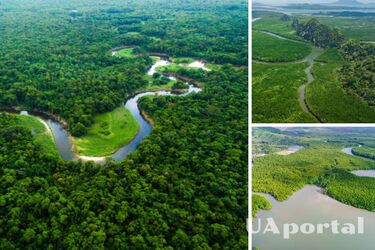 У лісах Амазонки знайшли долину 2000-річних поселень (фото)