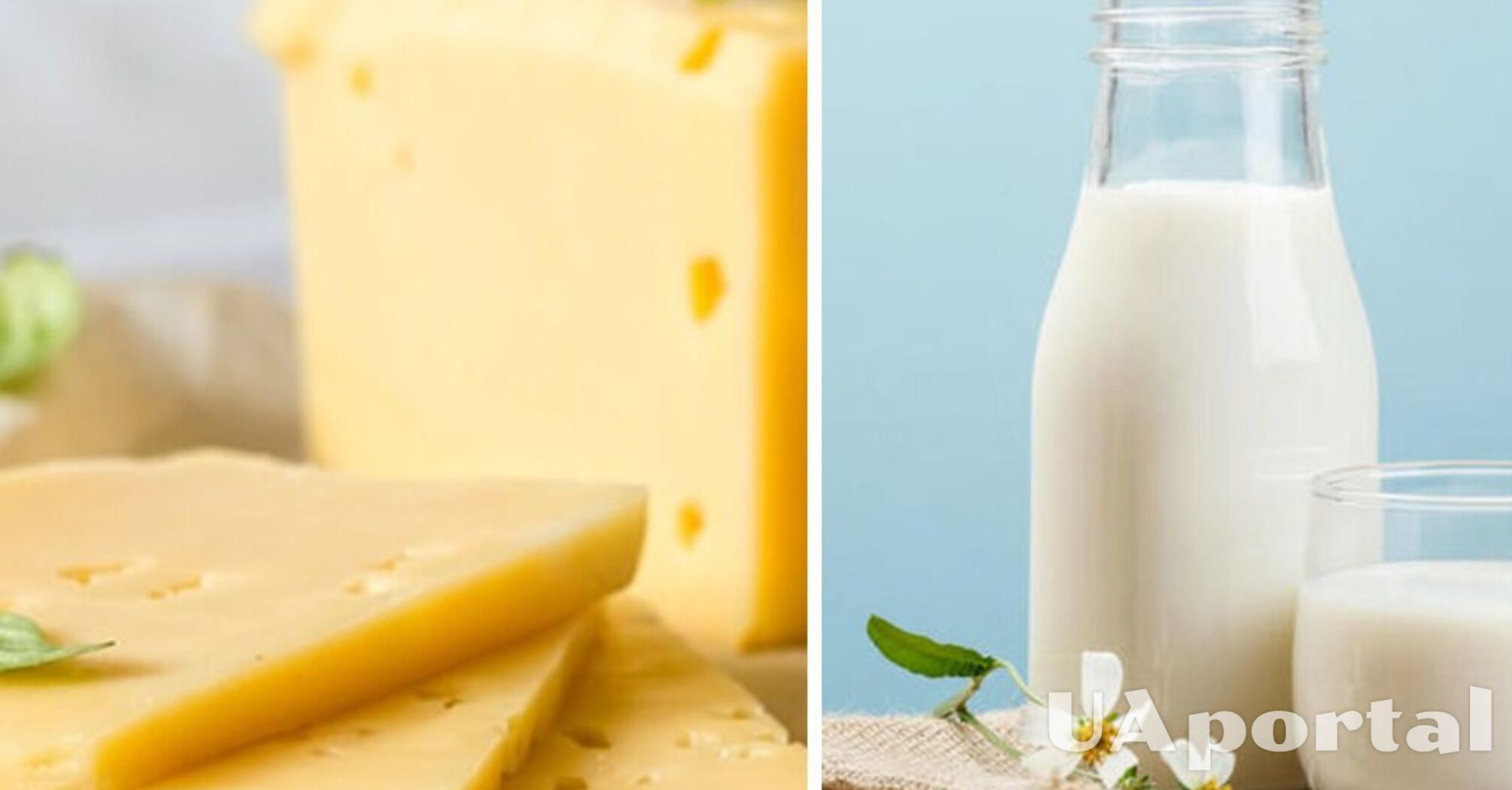 How to revive dried cheese in half an hour: an effective life hack