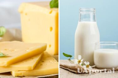 Как реанимировать засохший творог за полчаса: действенный лайфхак