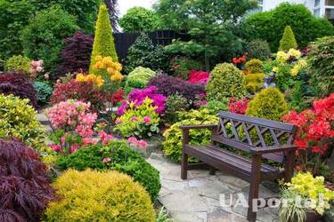 What flowers have a good scent and are suitable for the garden