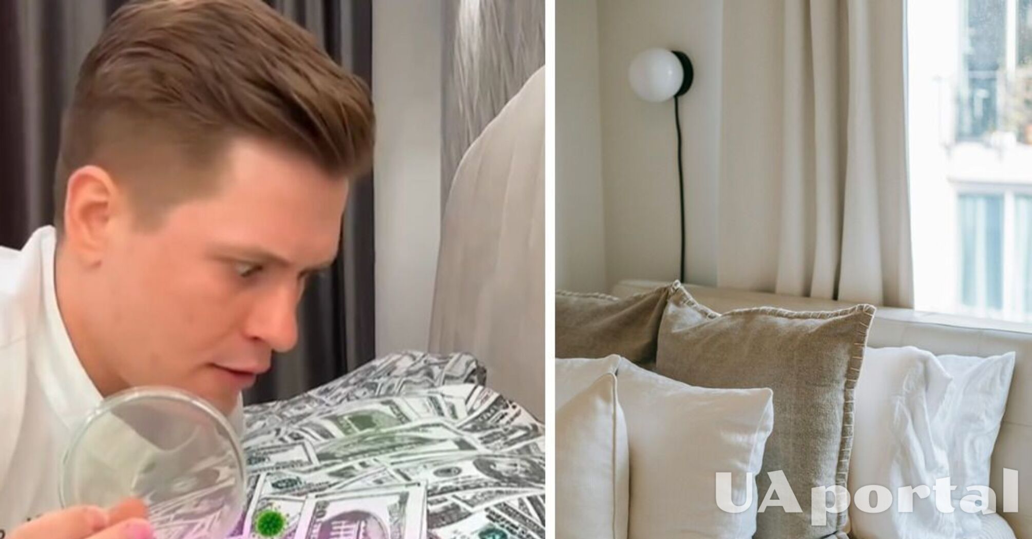 Better to sleep standing up: chemist shows that 'lives' in pillows (video)
