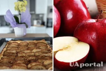 Nothing is easier than apple tart: the recipe