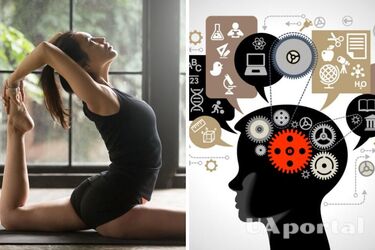 Вчені з'ясували, що регулярні фізичні вправи покращують роботу пам'яті та сприяють навчанню