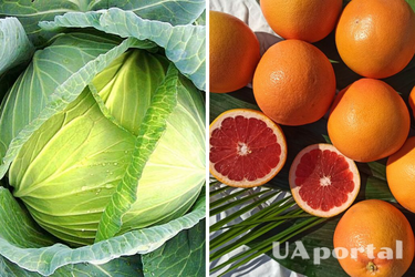 For those on diets: top 20 foods that burn fat