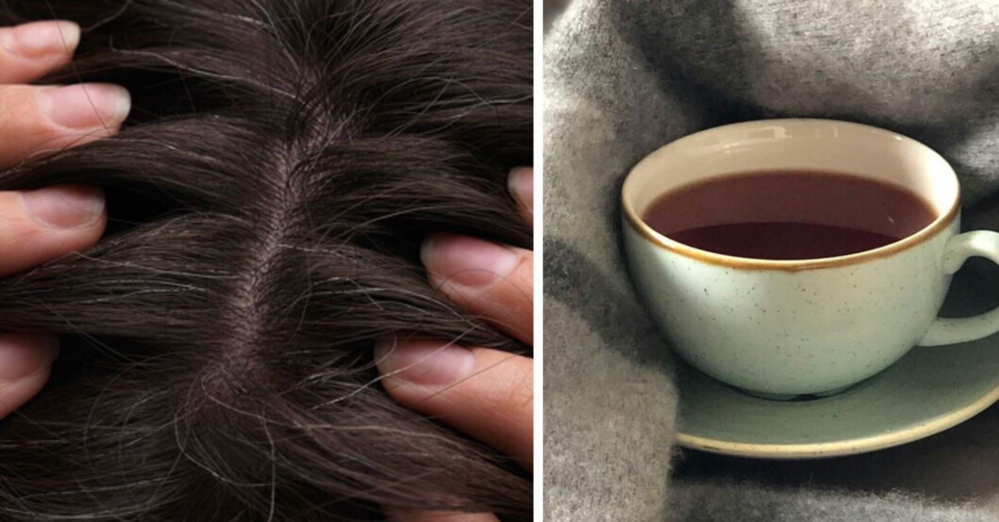 A simple product will help hide gray hair: how to use it