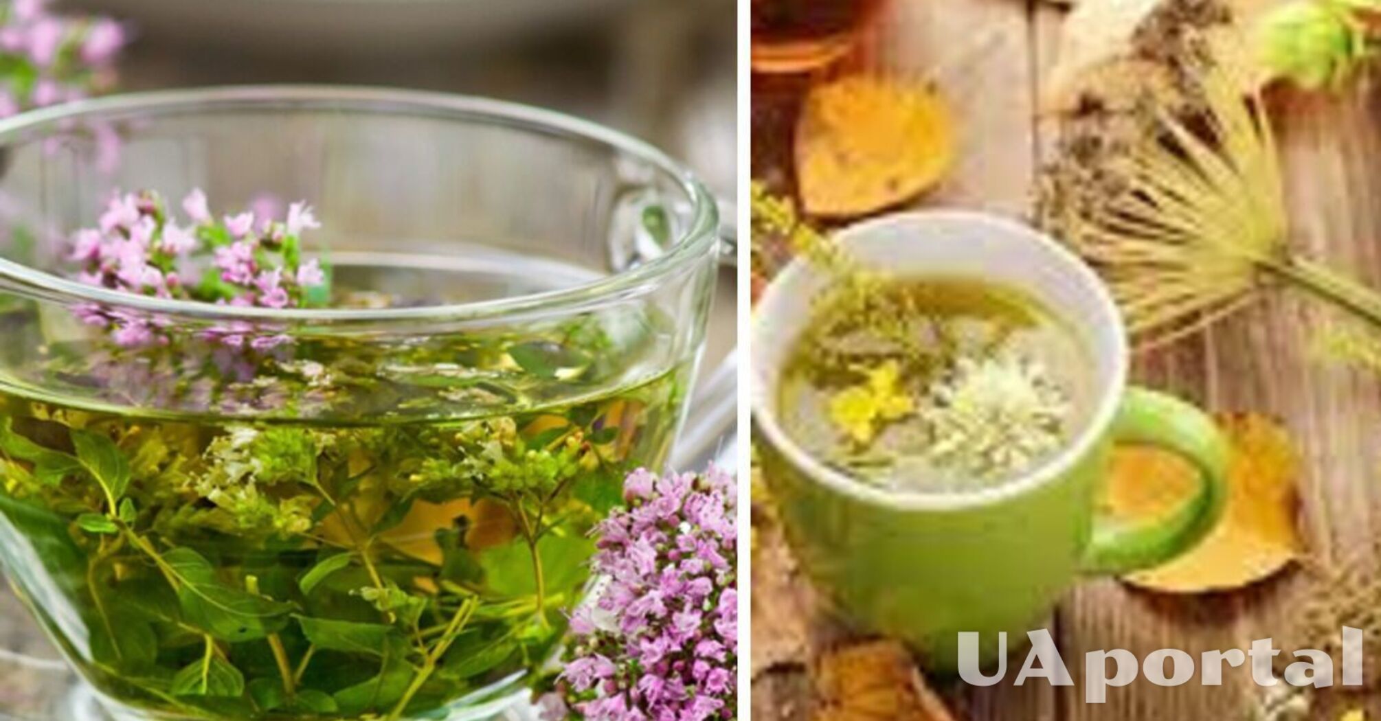 How to choose herbal tea harmlessly: useful tips