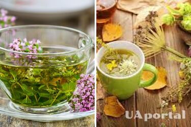 How to choose herbal tea harmlessly: useful tips