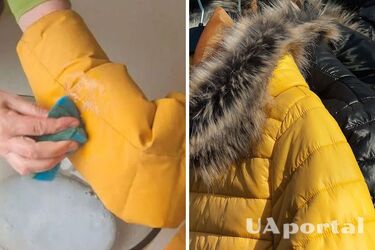 How to clean stains from a down jacket without washing: an effective method