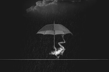 How to wash umbrellas properly: 3 useful life hacks